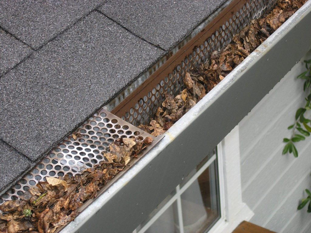 Animals And Pests Causing A Clogged Rain Gutter Here S What To Do Advantage Pro Services Inc Pressure Washing Houston Tx