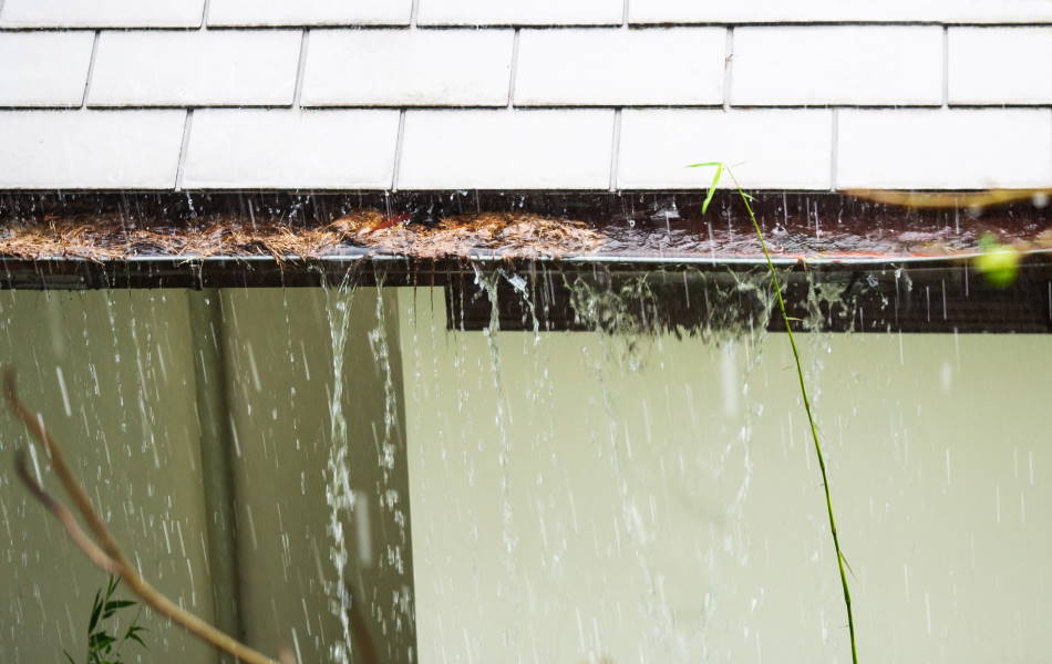 Professional Gutter Cleaning In Houston Texas