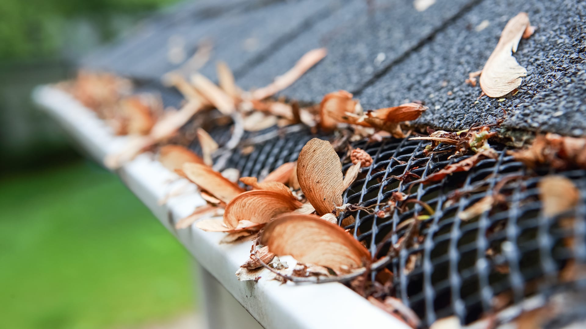 Benefits of Installing Gutter Guards on My Houston Home