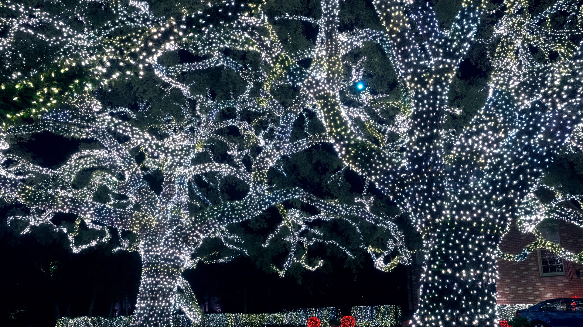 Where to See the Best Christmas Lights in Houston